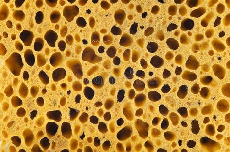 Sponge texture. Of classic natural sponge , #sponsored, #texture, #Sponge, #classic, #sponge, #natural #ad Sponge Texture, Sea Texture, Natural Sponge, Sea Sponge, Business Card Branding, Ocean Animals, Tile Patterns, Natural Color, Animal Print Rug