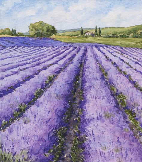 Painting Lavender, Acrylic Landscape, Lavender Field, Landscape Paintings Acrylic, 수채화 그림, Watercolor Landscape Paintings, Lavender Fields, Watercolor Inspiration, Painting Art Projects