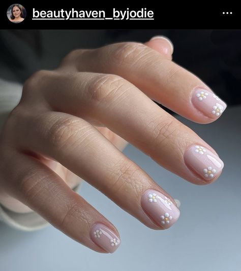 Daisy Nail Designs, Simple Manicure, Short French Nails, Short Gel Nails, Classy Nail Designs, Daisy Nails, French Nail Designs, Round Nails, Shellac Nails