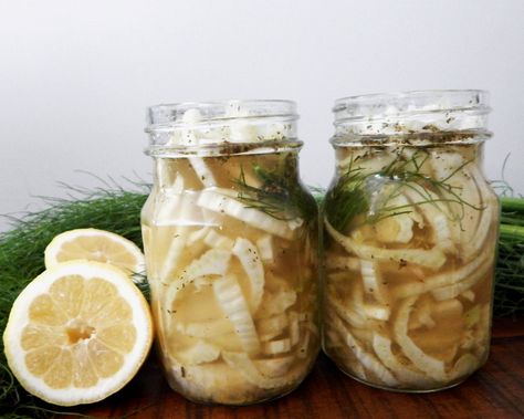 Pickled Fennel Recipe, Fermented Fennel, Canning Goals, Pickled Fennel, Preserving Vegetables, Fennel Recipes, Canning Pickles, Fermented Pickles, Fermentation Recipes