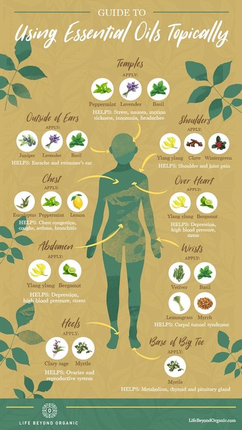 Covi̇d Essential Oils, Belly Button Essential Oil Chart, Essential Oils And Their Benefits, Covi̇d Remedies Essential Oils, Essential Oils Spiritual Uses, Essential Oils Meaning, How To Use Essential Oils, Essential Oil Meanings, Where To Apply Essential Oils