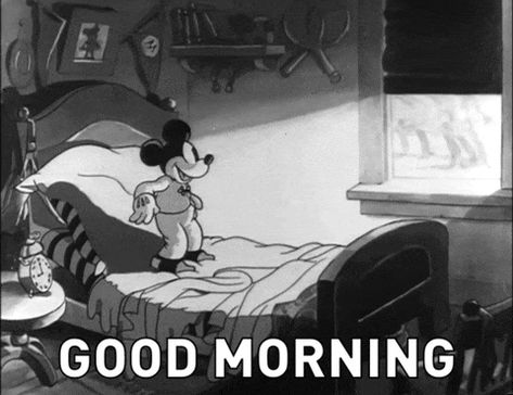 Disney Good Morning Gif, Angry Cat Gif, Gif Good Morning, Funny Good Morning Messages, Disney Gifs, Good Morning Love Gif, Good Morning Happy Monday, Good Morning Funny Pictures, Good Morning Nature