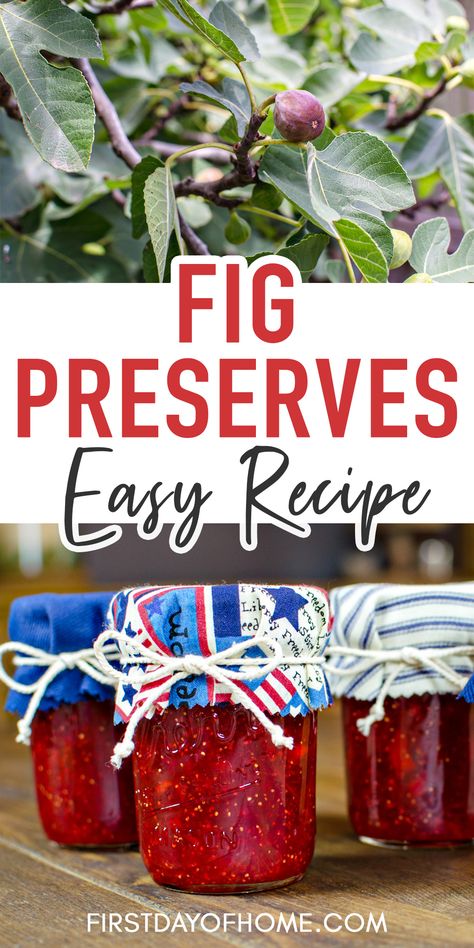 Fig preserves in mason jars with picture of fresh fig from tree and text overlay reading "Fig Preserves Easy Recipe" Fig And Strawberry Preserves, Fig And Strawberry Jam, Homemade Fig Preserves, Fig Strawberry Jam Recipe, Strawberry Fig Preserves With Jello, Strawberry Fig Jam With Jello, How To Preserve Fresh Figs, Canning Figs Recipes, How To Make Fig Preserves