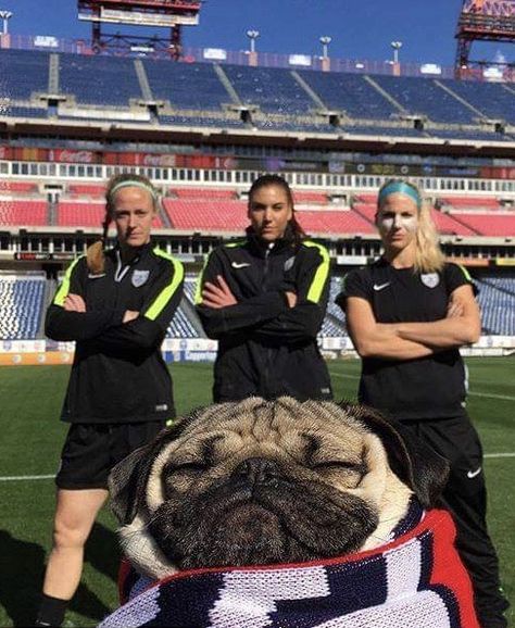 Uswnt Funny, Becky Sauerbrunn, Football Humor, Uswnt Soccer, Hope Solo, Funny Sports Pictures, Alex Morgan, Perfectly Timed Photos, Soccer Funny