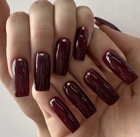 Burgundy Long Nails, Red Nail, Cute Woman, Long Nails, Nail Inspo, Paradise, Braids, Nails, Hair