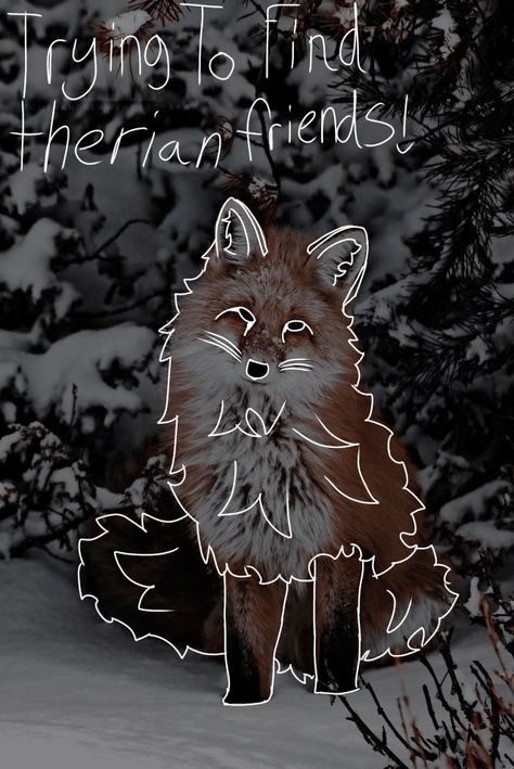 I’m trying to find therian friends! Felt Animal Masks, Maned Wolf, Fox Artwork, Baby Wolf, Looking For Friends, Maybe In Another Life, Cat Mask, Animal Masks, Black Wolf