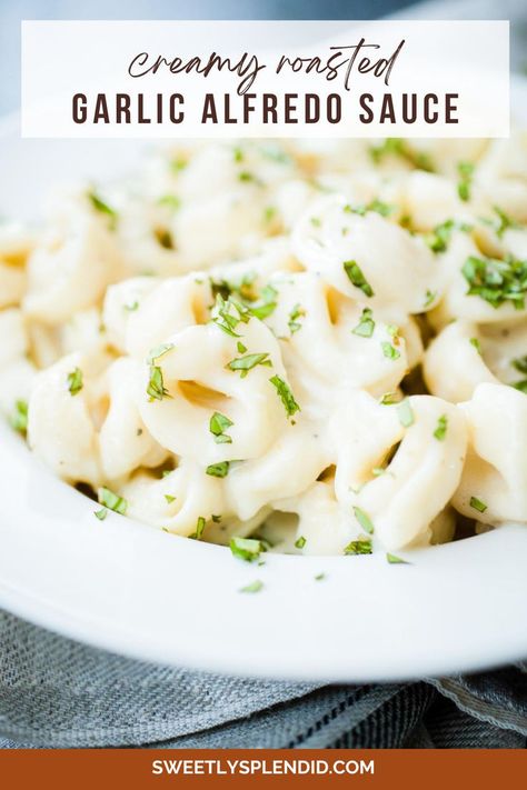 Close up of tortellini coated with a creamy roasted garlic alfredo sauce. Roasted Garlic Alfredo Sauce, Garlic Alfredo Sauce Recipe, Basil Alfredo Sauce, Garlic Alfredo Sauce, Roasting Garlic, Banza Pasta, Roast Garlic, Mushroom Ravioli, Alfredo Sauce Recipe