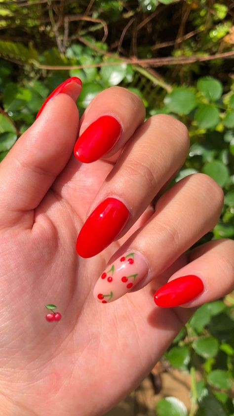 Summer Nails Designs 2023, Red Summer Nails, Summer Nails Designs, Bright Red Nails, Harry Styles Nails, Red Acrylic Nails, Cherry Nails, Summery Nails, Red Nail Designs