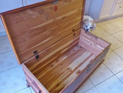 A friend of mine showed up one day with a cedar chest he picked up on the curb. #howto #diy #diys #craft #crafts #crafting #howto #ad #handmade #homedecor #decor #makeover #makeovers #redo #repurpose #reuse #recycle #recycling #upcycle #upcycling #unique #furniture #furnituremakeover #furnitureredo #thrifting #thriftstore Cedar Chest Redo, Chest Furniture, Shabby Chic Dresser, Cedar Chest, Water Marks, Furniture Painting, Multifunctional Furniture, My Bedroom, Tile Work