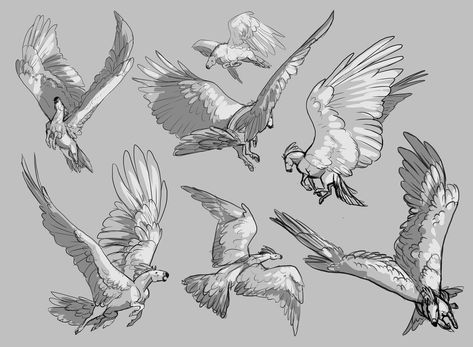 Feathered Wings Drawing, Wing Pose Reference, Anime Reference Pose, Wings Drawing Reference, Drawing Reference Character Design, Drawing Reference Character, Drawing Feathers, Wing Drawing, Reference Pose