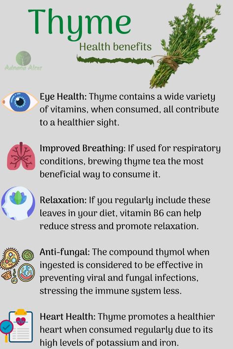 Thyme Benefits, Medicinal Herbs Remedies, Thyme Tea, Medicinal Herbs Garden, Medical Herbs, Magic Herbs, Magical Herbs, Natural Healing Remedies, Herbal Healing