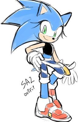 Shadow Sonic, Cartoon Video Games, Sonic Heroes, Sonic And Amy, Sonic Fan Characters, Blue Hedgehog, Sonic Franchise, Hedgehog Art, Sonic Adventure