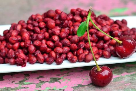 Can You Plant Cherry Pits? » Yes, But It's Not Like Mom Canned Cherries, Backyard Greenhouse, Yes But, Delicious Fruit, Preserving Food, Growing Plants, Permaculture, A Tree, Planting