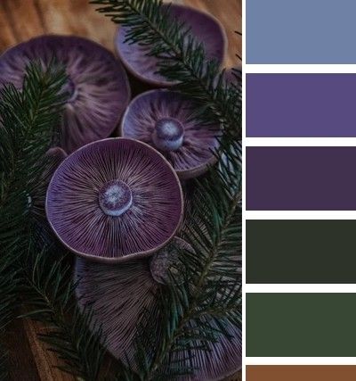 Witchcore Color Palette, Purple Green And Gold Color Palette, Forest Witch Color Palette, Witchy Paint Colors, Blackberry Color Palette, Whimsy Goth Color Palette, Purple And Green Bathroom, Dark Purple Kitchen, Enchanted Forest Color Palette