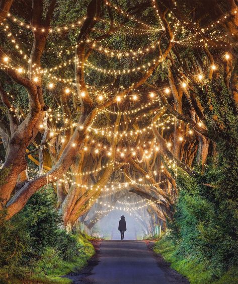 Striking Photo Manipulations by Robert Jahns – Inspiration Grid | Design Inspiration #photomanipulation #digitalphotography #photo #photography #photoshop #inspirationgrid Dark Hedges, Best Honeymoon Destinations, Dreamy Landscapes, Best Honeymoon, Fantasy Places, Destination Voyage, Honeymoon Destinations, Pretty Places, Fantasy Landscape