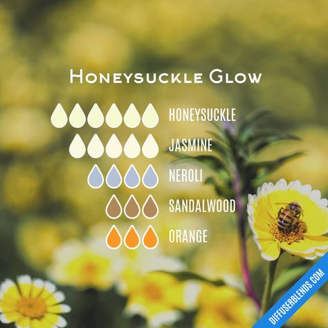 Honeysuckle Glow | DiffuserBlends.com How To Smell Like Honeysuckle, Honeysuckle Essential Oil Blend, Essential Oil Cologne, Honeysuckle Essential Oil, Scent Recipes, Essential Oil Perfume Blends, Essential Oil Spray Recipes, Candle Blends, Spring Soap