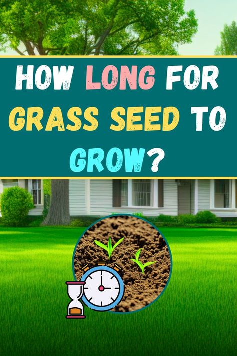 Curious about how long it takes for grass seed to sprout? Discover the germination timeline for your lawn, from sowing to lush greenery. Get ready for a vibrant yard! 🏡✨ #GrassSeed #LawnCare #GardeningTips Natural Pesticides, Growing Grass, Seed Germination, Rainwater Harvesting, Pollinator Garden, Green Lawn, Grass Seed, I Understand, Earth Friendly