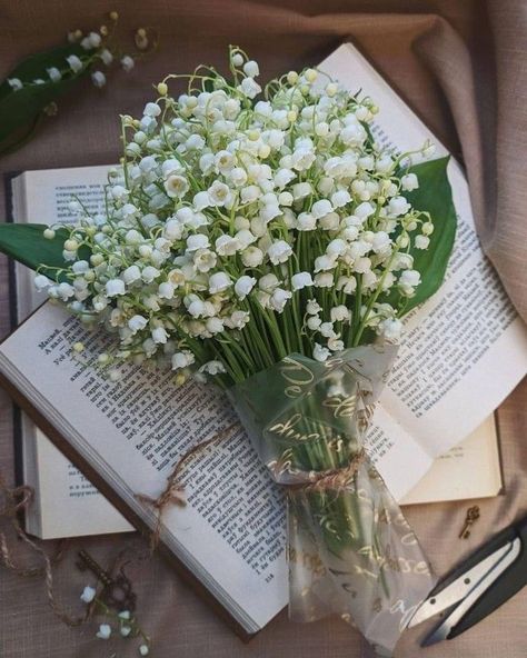 The Valley, Lily, Flowers, White