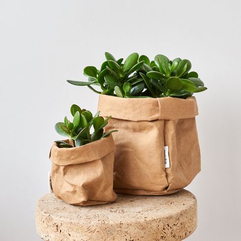 Leather Vase, Planter Bags, Basket Fruit, Plant Pot Diy, Washable Paper Bag, Washable Paper, Grow Bags, Bag Diy, Small Succulents