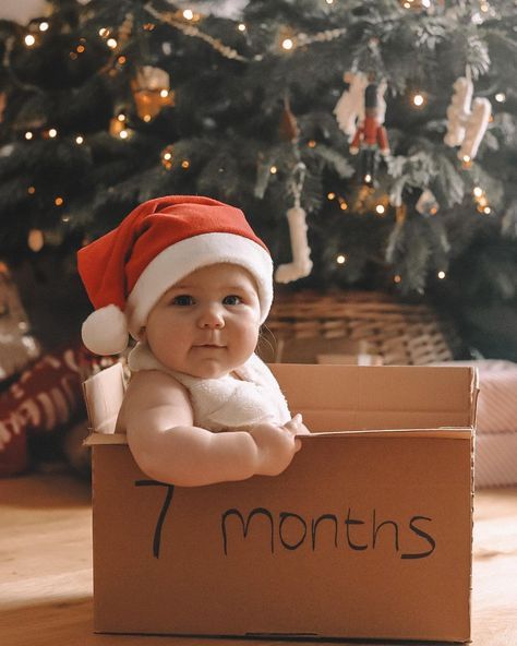 First Christmas Photo Ideas, Christmas Baby Photoshoot, Christmas Photo Ideas, Baby Christmas Photography, Christmas Baby Pictures, Baby Christmas Photos, Monthly Baby Pictures, First Christmas Photos, Baby Milestone Photos