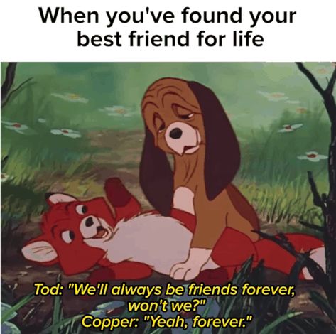 50 Memes You Need To Send To Your Best Friend Right Now Bff Memes Funny Best Friends, Did We Just Become Best Friends, Best Friend Characters, Memes About Friends, Send To Your Best Friend, Best Friend Meme, Helpful Thoughts, Guy Friendship Quotes, Friends Memes