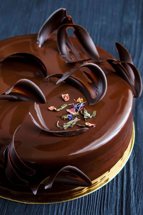 Chocolate mousse and praline entremet is a delicious, silky recipe that would fit a special celebration in your family. Use quality ingredients for success. Entremet Cake Design, Mirror Glaze Recipe, Entremet Recipe, Chocolate Mirror Glaze, Mirror Glaze Cake Recipes, Praline Chocolate, Glaze Cake, Witch Coffee, Mirror Glaze Cake