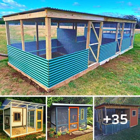 HOME IDEA - 35 Cheap and Easy Chicken Coops That Your Hens... Hen Nesting Boxes Ideas, Chicken Coop Egg Boxes, Budget Chicken Coop, Chicken Nesting Box Ideas, Chicken Coop Building Plans, Chicken Coop Designs Diy, Chook Pen, Poultry Farm Design, Chicken Coop Ideas