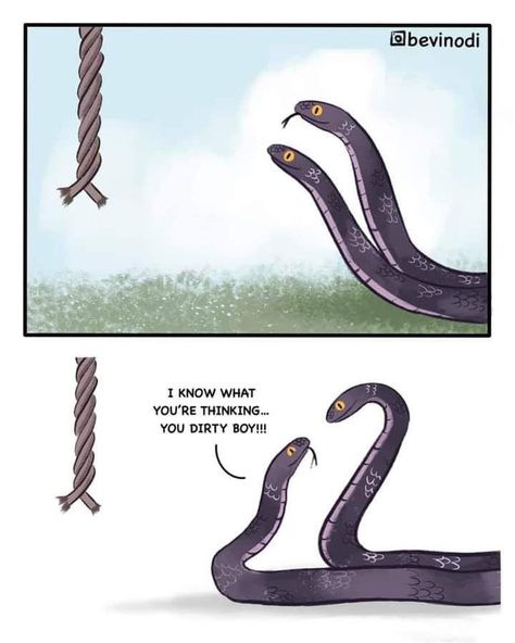 Danger Noodles, Danger Noodle, Anime Undertale, Two Boys, Sweet Stories, Paper Animals, Funny Animal Jokes, Animal Jokes, Really Funny Pictures