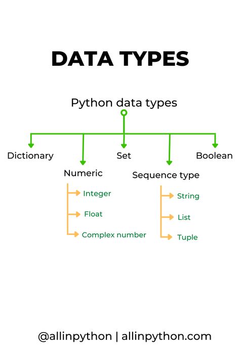 Python Data Types with Example Python Data Types, Python Cheat Sheet, What Is Data Science, Python Coding, Data Engineering, Data Types, Coding Camp, Basic Computer Programming, Computer Science Programming