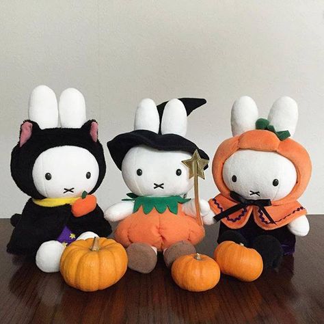 Miffy on Halloween Halloween Friends, Kid Character, Sonny Angel, Tim Burton, Dia De Muertos, Tis The Season, Fall Vibes, Fall Halloween, Stuffed Animals