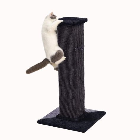 PAWZ Road 32" Cats Ultimate Scratching Post Cat Scratcher Post, Wood Shelving Units, Elegant Cat, Cat Post, Sisal Rope, Cat Scratching Post, Cat Scratcher, Unique Cats, Scratching Post