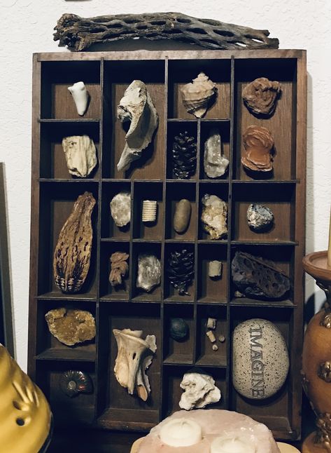 Curio treasure box...diy Diy Curio Shelf, Treasure Box Diy, Curio Shelf, Box Diy, Wall Boxes, Treasure Box, Diy Box, Treasure Boxes, Diy Shelves