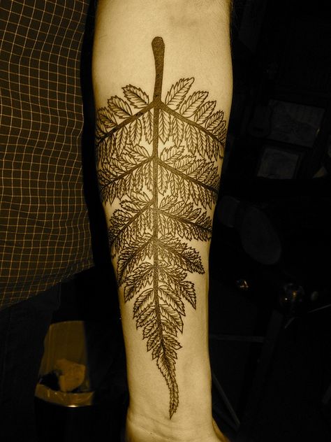 http://tattoomagz.com/green-leafs-tattoos/black-amazing-leaf-tattoo/ Aspen Leaf Tattoo, Leaf Tattoo Meaning, Fractal Tattoo, Believe Tattoos, Fern Tattoo, Leaf Tattoo, Aspen Leaf, Back Of Shoulder Tattoo, Botanical Tattoo