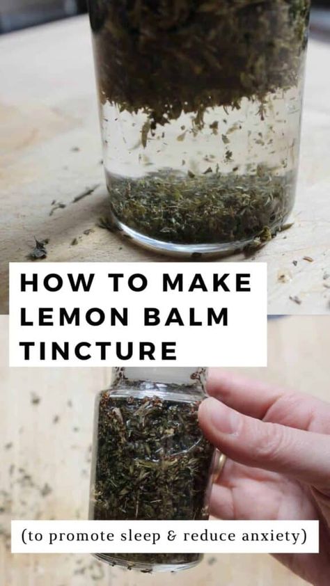 Clove Tincture, Lemon Balm Recipes, Lemon Balm Tincture, Pine Pollen, Herb Tinctures, Tinctures Recipes, Herbal Medicine Recipes, Herbal Remedies Recipes, Medicinal Herbs Garden