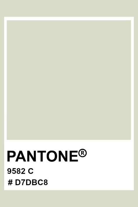 PANTONE 9582 C #pantone #color #pastel #hex Spring Pantone, Pantone Matching System, Pantone Color Chart, Homemade Curtains, Pistachio Color, Pantone Colour Palettes, Good Color Combinations, Art Landscapes, Moon Decor