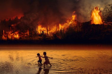 Here’s Who Got Paid for the Amazon to Burn - Resilience Climate Changing, What Is Climate, Lahaina Maui, Fire Life, River Bank, Gold And Red, Amazon Rainforest, Forest Fire, Islamic World