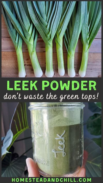 Canning Leeks, How To Preserve Leeks, Preserving Leeks, Dehydrated Leeks, Dehydrator Vegetables, Magic Leek Soup, Leek Greens, Homesteading Food, Dehydrating Food Storage