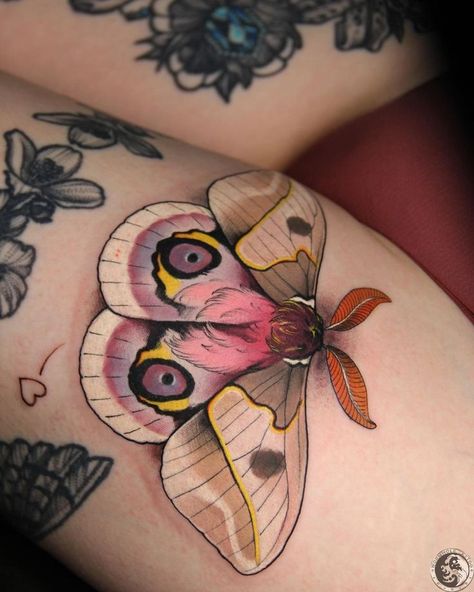 Moth Tattoo Design, Insect Tattoo, Rare Features, Bug Tattoo, Tasteful Tattoos, Moth Tattoo, Tatuaje A Color, 1 Tattoo, American Traditional Tattoo