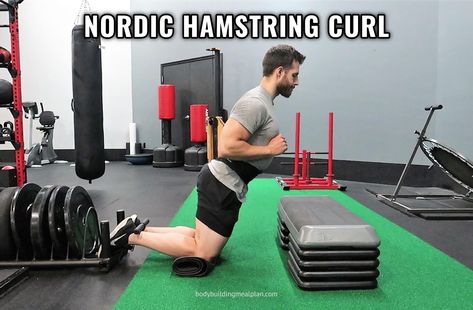 Nordic Hamstring Curl Nordic Hamstring Curl, Hamstring Curl Machine, Killer Leg Workouts, Knee Health, Hamstring Curl, Hypertrophy Training, Resistance Training Workouts, Schwarzenegger Bodybuilding, Best Resistance Bands