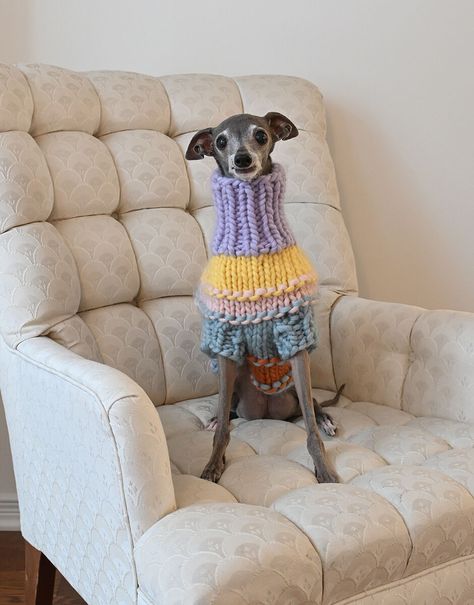 Zero to Hero Dog Coat Pattern | Wool and the Gang Chunky Dog Sweater Pattern, Crochet Dog Coat Free Pattern, Knitted Dog Sweater Pattern Free, Knit Dog Sweater Pattern, Dog Sweater Knitting Patterns, Crochet Dog Coat, Crochet Dog Sweater Free Pattern, Dog Goals, Chunky Yarn Crochet Pattern