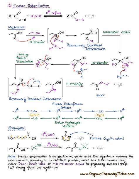 Mcat Notes, Organic Chemistry Cheat Sheet, Chemistry Facts, Organic Chemistry Tutor, Organic Chemistry Notes, Chemistry Class 12, Organic Chemistry Reactions, Chemistry Help, Organic Chem