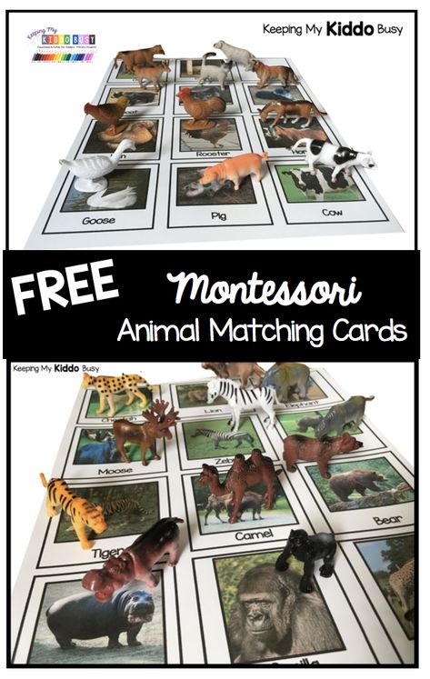 Zoo Animal Activities For Preschool Free Printable, Animal Habitat Preschool Activities, Farm Animal Matching Game Free Printable, Wild Animals Activities For Toddlers, Wild Animal Activities For Preschool, Wild Animals Activities For Kids, Wild Animals Preschool Activities, Animal Activities For Toddlers, Zoo Lessons