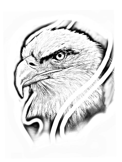 Eagle Face Tattoo Design, Eagle Tattoo Drawing, Eagle Head Tattoo Design, Eagle Tattoo Stencil, Eagle Shoulder Tattoo, Eagle Tattoo Design, Eagle Head Tattoo, Berg Tattoo, Bald Eagle Tattoos