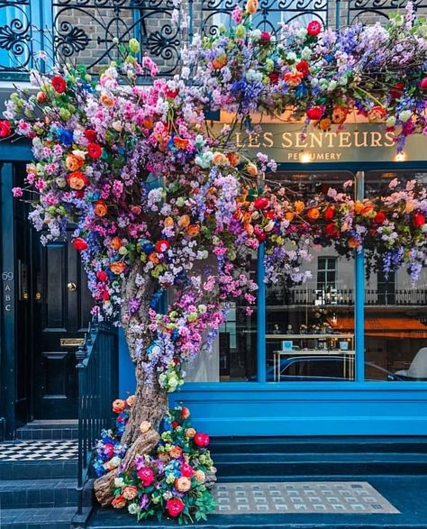 Scents....perfumery Blue Cafe, Flower Boutique, Floral Shop, London United Kingdom, Flower Farm, Rainbow Flowers, Nature Beautiful, Lifestyle Photographer, Store Fronts