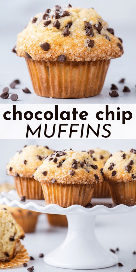 Want to make absolutely perfect chocolate chip muffins that rival any professional bakery? I spent 6 months testing and perfecting muffin recipes so I could teach you the exact, easy to follow steps to make bakery style muffins at home! Jumbo Oatmeal Muffins, Whole Grain Breakfast Muffins, Baking Recipes With Oats, Oatmeal Chocolate Chip Breakfast Muffins, Oat Flour Chocolate Chip Muffins, Oatmeal Choc Chip Muffins, Oatmeal Chocolate Chip Muffin Recipe, Easy Oatmeal Chocolate Chip Muffins, Things To Make With Oatmeal