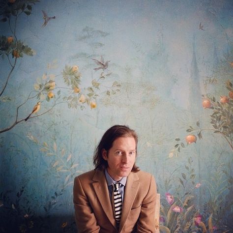 Director of the Grand Budapest Hotel, The life Aquatic and many others, the puppet master himself--Wes Anderson! Wes Anderson Aesthetic, Wes Anderson Style, Wes Anderson Movies, Wes Anderson Films, Moonrise Kingdom, Movie Directors, Grand Budapest, Grand Budapest Hotel, Movie Director