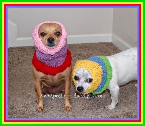 Posh Pooch Designs Dog Clothes: Colors Dog Snood Free Knitting Pattern | Posh Pooch Designs Dog Jumper Knitting Pattern, Knitting Patterns For Dogs, Snood Knitting Pattern, Knitted Dog Sweater Pattern, Snood Pattern, Knitting Patterns Free Dog, Crochet Dog Clothes, Dog Coat Pattern, Small Dog Coats