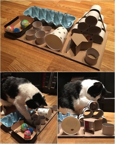 Katt Diy, Katt Grejer, Kat Diy, Chat Diy, Homemade Cat Toys, Diy Puzzle, Cat House Diy, Diy Cat Toys, Cats Diy Projects