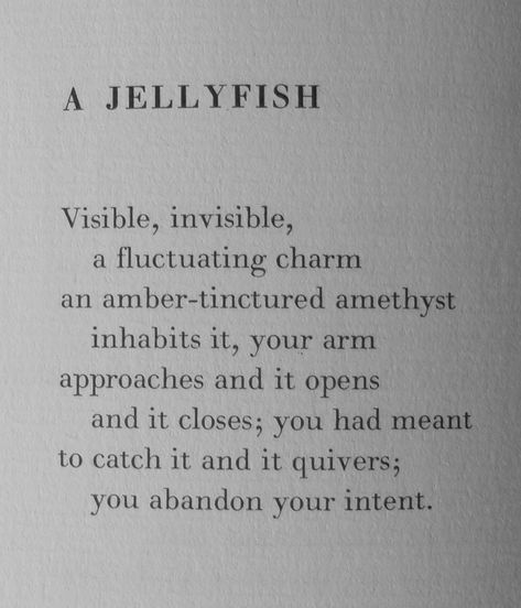 Jellyfish Person, Jellyfish Symbolism, Jellyfish Quotes, Grace Quotes, Human Personality, Meant To Be Quotes, Instagram Bio, Jellyfish, Meant To Be