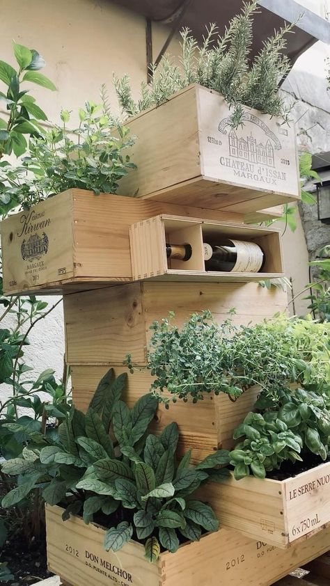 Wine Crate Planter, Wine Boxes Ideas Projects Wood, Wine Crates Ideas Decor, Wine Boxes Ideas Projects, Wine Crate Crafts, Box Herb Garden, Wine Box Garden, Wine Crate Diy, Wine Box Diy